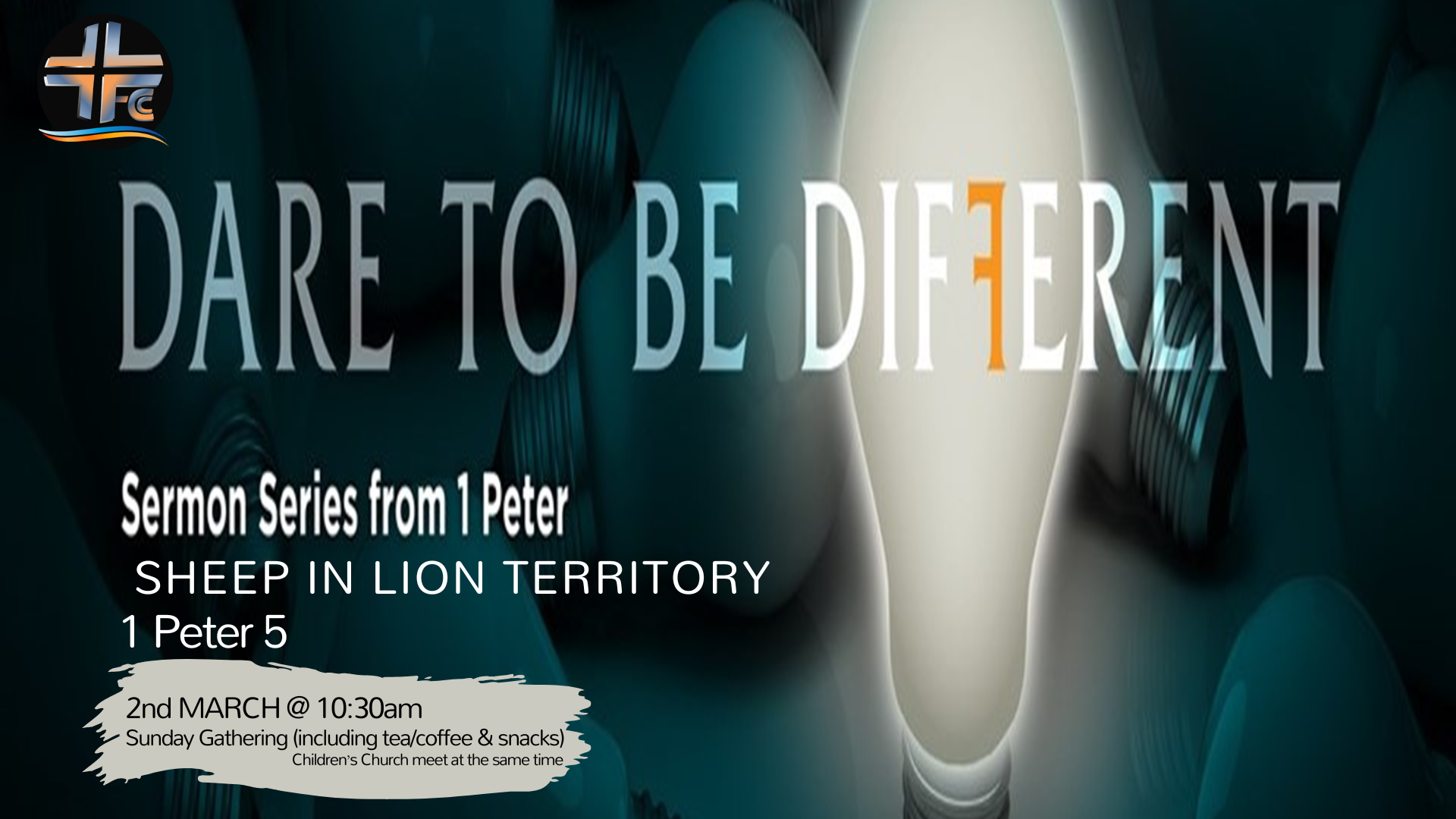 Sheep In Lion Territory